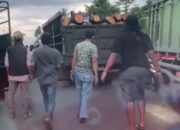 Sempat Kabur, Truk Bermuatan Kayu Pinus Diamankan Polisi