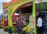 Ayo Kunjungi Stand Distanhortbun Pekan Budaya Limapuluh Kota, Ada Edukasi dan Bibit Unggul dengan Harga Murah