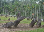 Festival Maek 2024, Dari Pameran sampai Diskusi Arkeologi Internasional