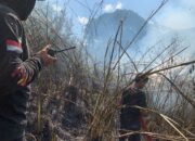 Kebakaran Hutan Terjadi di 2 Titik Kabupaten Lima Puluh Kota