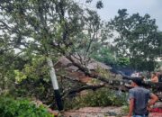 Angin Puting Beliung Hantam Payakumbuh, Pemko Payakumbuh Gerak Cepat