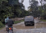 Irfendi Arbi: Kita Apresiasi Andre Atas Respon Terhadap Perbaikan Jalan Payakumbuh-Lintau