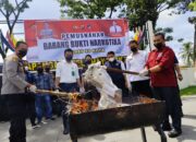 Polres 50 Kota Musnahkan Ratusan Batang Ganja 