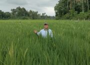 Irfendi Arbi: Ayo…Bertani, untuk  Mewujudkan Program Ketahanan Pangan