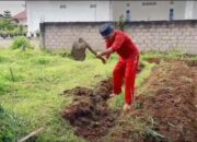 Irfendi Arbi: Pemanfaatan Pekarangan Dapat Membantu Memenuhi Kebutuhan Pangan Keluarga