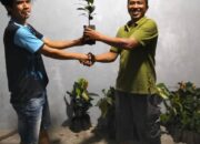 IKSS Kota Padang Serahkan 750 Bibit Jenis Buah-buahan untuk Masyarakat Jorong Sipinang