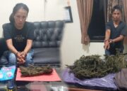 Polisi Tangkap Suami-Istri di Kabupaten 50 Kota 