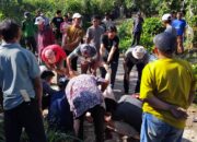 Rayakan Hari Raya Idul Adha 1446 H, Warga Padang Laweh Jorong Tanjung Haro Utara Sembelih 2 Ekor Sapi 3 Ekor Kambing