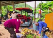 Penyuluh Agama Edukasi Masyarakat Pengelolaan Sampah Organik melalui Budidaya Maggot 