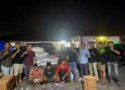 Modus Bawa Telur, Puluhan Karung Pupuk Bersubsidi Diamankan Satreskrim Polres 50 Kota 