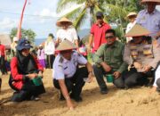 Dukung Swasembada Pangan Nasional, Pemko Payakumbuh Tanam Jagung Serentak