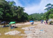 Polres 50 Kota Tangkap Belasan Penambang Emas Illegal