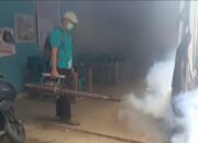 Tujuh Warga Terkena DBD, Dinas Kesehatan Kabupaten 50 Kota Lakukan Fogging 