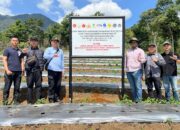 Kawasan Hutan Konservasi Dirusak, Tim Gabungan Pasang Plang Peringatan Di Kabupaten 50 Kota