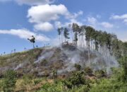 Bukik Kawasan Wisata Bukik Batu Barigi Terbakar 