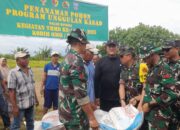 TNI Tebar Ribuan Bibit Ikan Nila dan Tanam Ratusan Pohon Buah di Katiagan Pasaman Barat