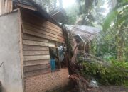 Angin Kencang Terjang Talamau, Sejumlah Rumah Rusak 