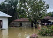 Bupati Pasbar Tetapkan Status Tanggap Darurat Bencana Banjir 