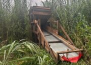 Satreskrim Polres 50 Kota Razia Lokasi Dugaan Penambangan Emas Ilegal di Nagari Galugua 