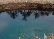 MUI Payakumbuh Ingatkan Jebakan Khurafat dan Tahyul Bagi Pengunjung Sinkhole Situjuah