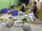 Suplai Kebutuhan MBG, Penjualan Pedagang Jeruk Naik Drastis