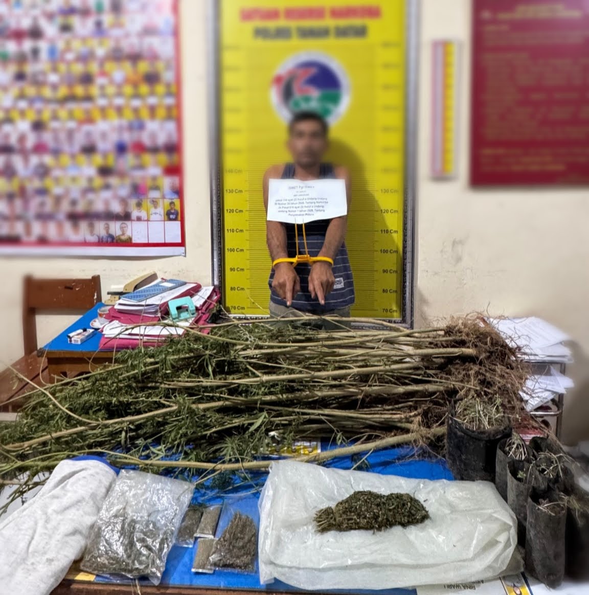 Tersangka berinisial I (41) bersama barang bukti narkotika jenis ganja yang diamankan Satresnarkoba Polres Tanah Datar dalam pengungkapan kasus di Nagari Rao-Rao, Kecamatan Sungai Tarab, Selasa (20/1/2026).