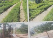 Masyarakat Belubus Minta Tambang Pasir Illegal Ditutup