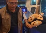 Sekda Kota Payakumbuh Lepas Kepergian Rombongan Wartawan Kota Payakumbuh Ikuti HPN 2026