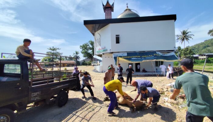 Kurban Perdana, Di Mesjid Musafir Potong 1 Ekor Sapi 