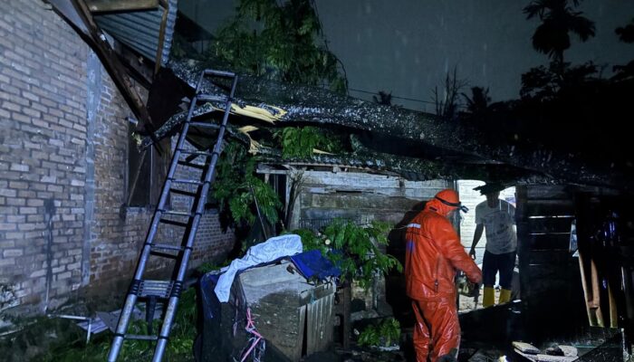 Pohon Tumbang Timpa Rumah Warga di Payakumbuh