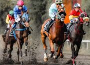 Pacu Kuda Indonesia’s Horse Racing Cup (IHRC) 2026 Bakal Digelar 23 Agustus