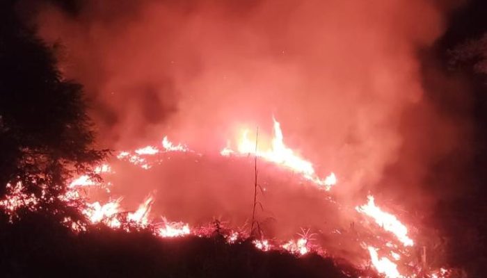Luas Karhutla di Kabupaten 50 Kota Capai 5,5 Hektare