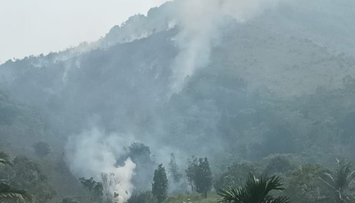 Lagi, Karhutla Terjadi di Payakumbuh